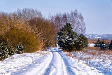 Zima w Narwiańskim Parku Narodowym © podlaski49