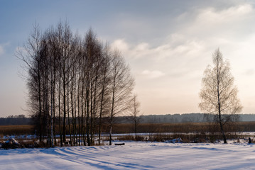 Zima w Narwiańskim Parku Narodowym © podlaski49