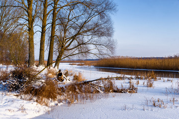 Zima w Narwiańskim Parku Narodowym © podlaski49