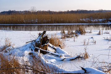 Zima w Narwiańskim Parku Narodowym © podlaski49