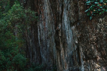 Mountain close up. Rock and stones in summer. Closeup of a cliff.
