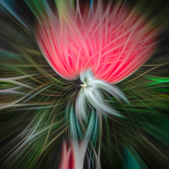Multicoloured twirl effect for background