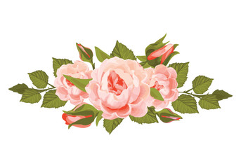  rose flower