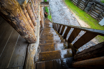 Ascending ladder for ascent and descent