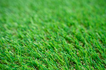 Green grass texture background.