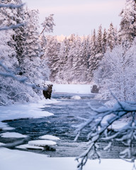 Ice snowy winter river