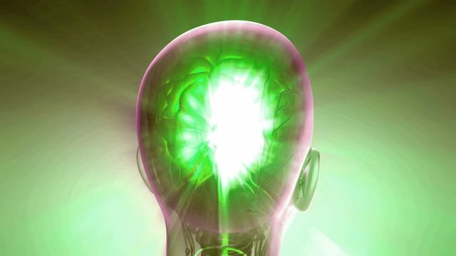 science anatomy scan of human brain glowing with yellow