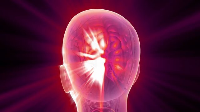 science anatomy scan of human brain glowing with yellow