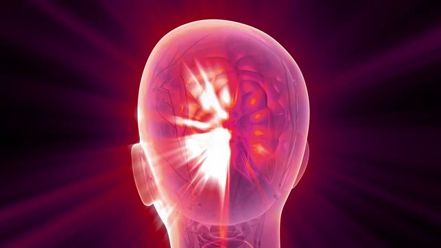 science anatomy scan of human brain glowing with yellow