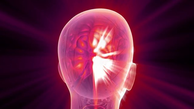science anatomy scan of human brain glowing with yellow