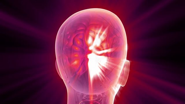 science anatomy scan of human brain glowing with yellow