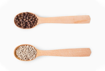 Wooden spoons with aromatic culinary condiments on white