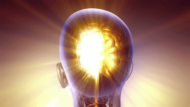 science anatomy scan of human brain glowing with yellow