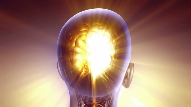 science anatomy scan of human brain glowing with yellow