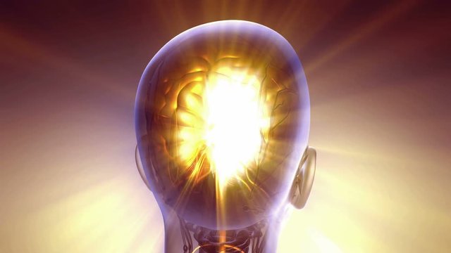 science anatomy scan of human brain glowing with yellow