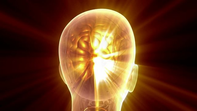 science anatomy scan of human brain glowing with yellow