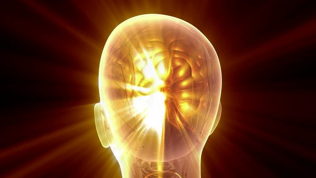 science anatomy scan of human brain glowing with yellow