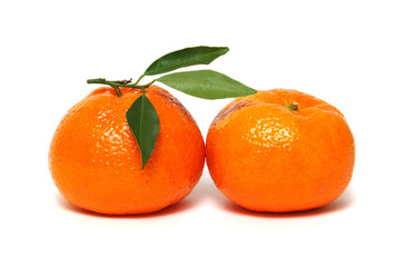 Tangerine or clementine