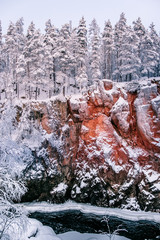icy cliff river tree
