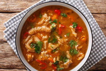 Dietary Polish meal flaczki with vegetables in tomato sauce close-up in a bowl. Horizontal top view