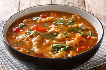 Flaki or flaczki is a traditional Polish meat stew close-up in a bowl. horizontal