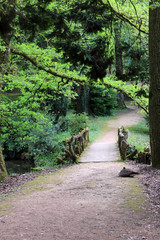 All&eacute;e promenade bois&eacute;e