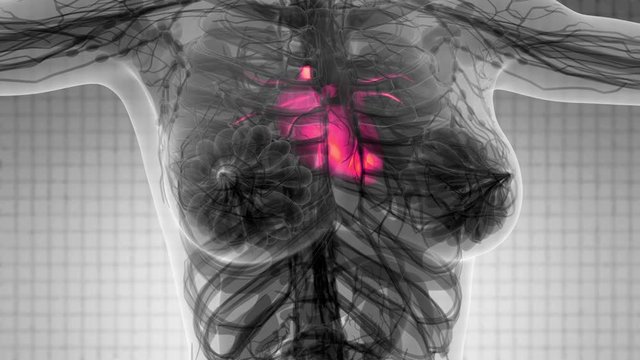 science anatomy scan of human heart glowing