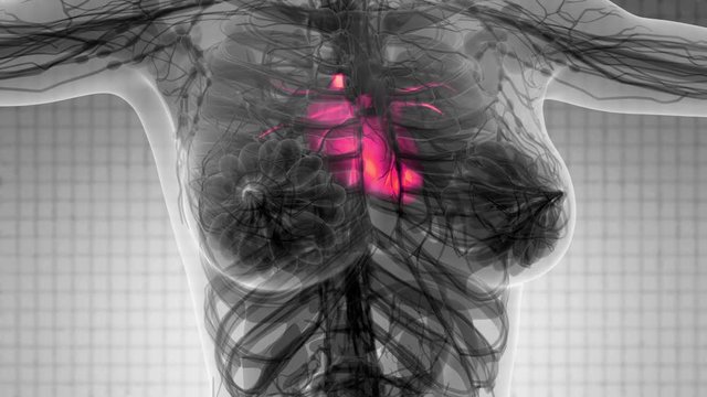 science anatomy scan of human heart glowing