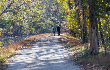 Couple walking in Fall