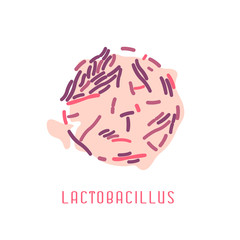 8492077 Lactobacillus Colony Image