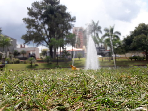 Parque Ambiental Ipiranga
