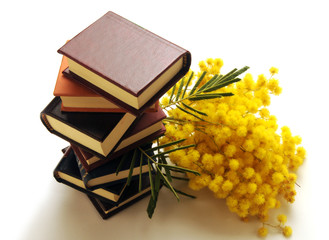 Libri Book Libro ft8104_3459 Mimose Mimosa 