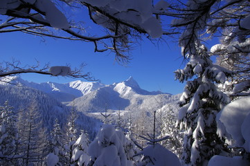 Okno lasu z widokiem na zaśnieżony Giewont
