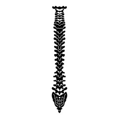 Anatomy spine icon. Simple illustration of anatomy spine vector icon for web design isolated on white background - obrazy, fototapety, plakaty