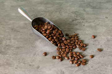 Fresh roasted coffee beans isolated on Grey
