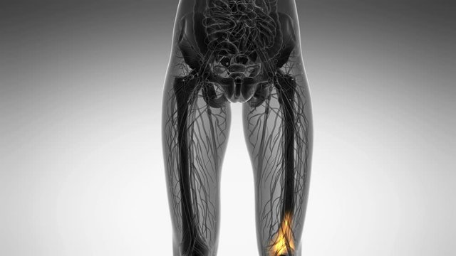 knee medical scan footage