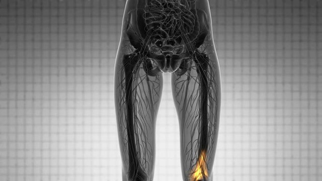 knee medical scan footage