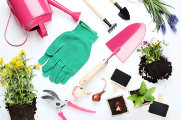 Garden tools with flowers on white background