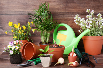 Garden tools with flowers in pots on brown wooden table