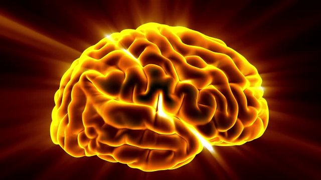 Loop science anatomy scan of human brain glowing with yellow