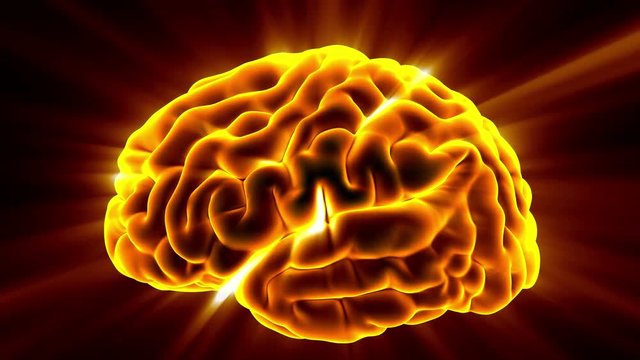 Loop science anatomy scan of human brain glowing with yellow