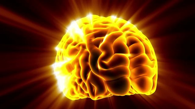 Loop science anatomy scan of human brain glowing with yellow