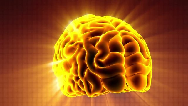 Loop science anatomy scan of human brain glowing with yellow
