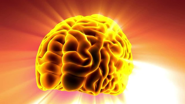 Loop science anatomy scan of human brain glowing with yellow