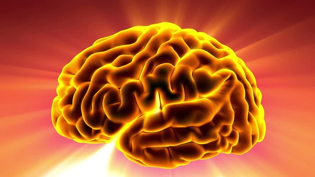 Loop science anatomy scan of human brain glowing with yellow
