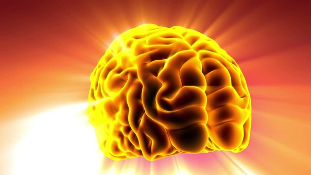 Loop science anatomy scan of human brain glowing with yellow