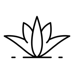 Natural aloe vera icon. Outline natural aloe vera vector icon for web design isolated on white background