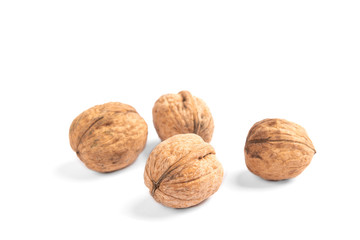 Walnut isolated on white background.