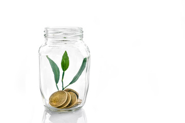 Storage and growth of money in the Bank. Investment and Finance.