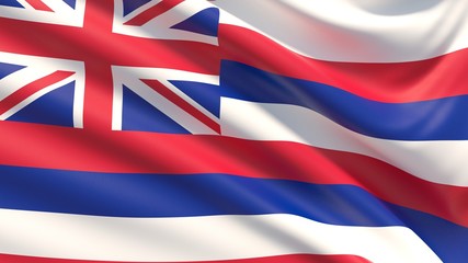 State of Hawaii flag. Flags of the states of USA.